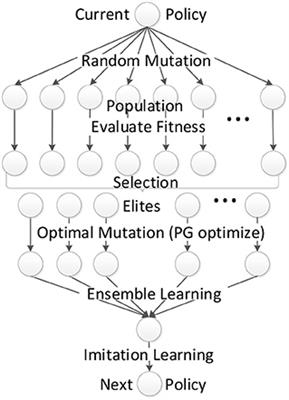 Generalize Robot Learning From Demonstration to Variant Scenarios With Evolutionary Policy Gradient